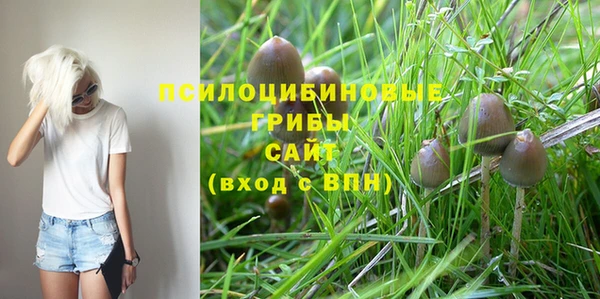 ECSTASY Вязники