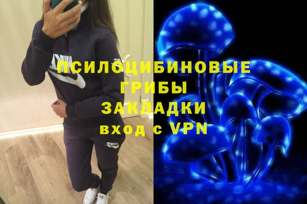 мескалин Туринск