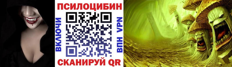 купить наркоту  Канск  Псилоцибиновые грибы Magic Shrooms 